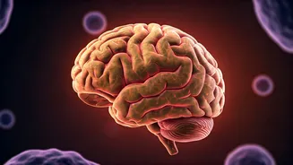 Unlocking the Science: Shared Laughter's Biological Power