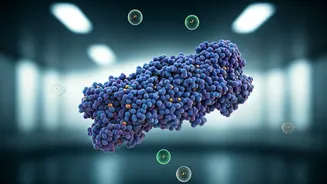 Related Stories banner