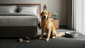 Hotels Need Pet Rules That Actually Help