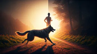 Optical Illusion Reveals: Dog or Man? Your First Glance Unlocks Personality Secrets!