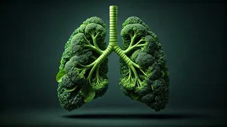 Eat These 7 Foods For Healthy Lungs