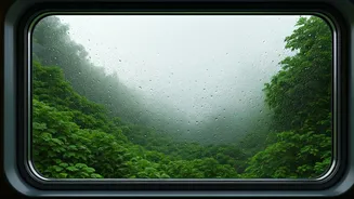 Rain Train Buzz Has Entered Travel Feeds