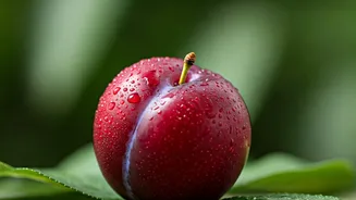 This Fresh Sweet Plum Routine Will Clear Skin