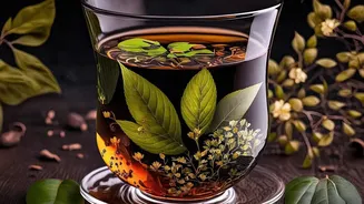 How Nilgiri Leaves Combined With Fruits Offer Delicious Low-Sugar Cold Brews