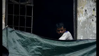 Essential Guide to Monsoon Tarpaulin Sheds in India