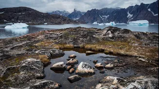 Greenland's east coast: A trekker's paradise