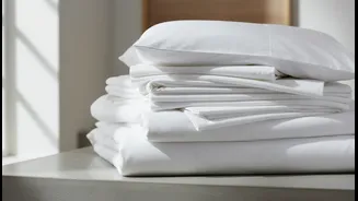 Why Budget-Friendly Anti-Mould Home Linens Are Becoming Essential Purchases For Urban Tenants