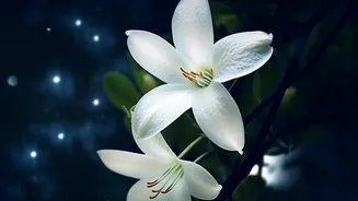 Glowing Plants Replace Streetlights: Genetically Modified Bio-Tech Reduces Municipal Energy Costs