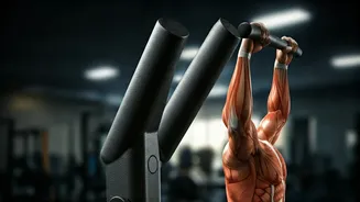 Mastering the Pull-Up: Your Ultimate Guide to Building Upper Body Strength