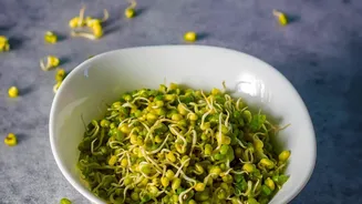 How To Prepare High Protein Sprouts Chaat In Minutes For Energized Workday Start