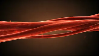 Post-Workout Neglect: Risks of Skipping Stretching