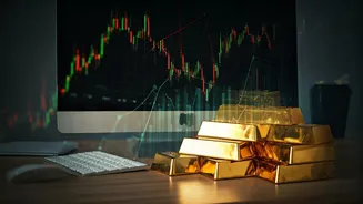 Indian Investment Trends: ETFs and Market Dynamics Unveiled