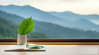 Transform Your Mornings: 5 Powerful Affirmation Habits for a Calmer, Happier Day