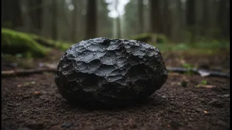 Rain and Humidity Can Change a Fresh Meteorite Quickly