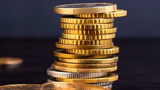 How Young Indian Earners Can Balance Stocks, Gold, And FDs Based On Risk