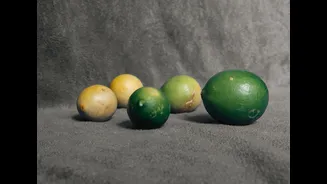 Understanding Artificial Fruit Ripening: What You Need to Know