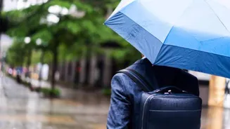 5 must-have bags for rainy days