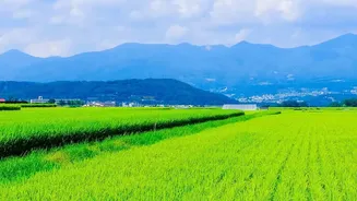 India's Three Growing Seasons Connects Kharif Timing with Rabi Timing