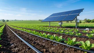 Solar Drip Irrigation Systems Keep Maharashtra Farms Hydrated Without Diesel