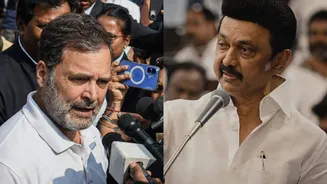'We carried Congress on our shoulders': DMK mocks Rahul Gandhi