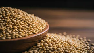 Unlock Deliciousness: 5 Irresistible Indian Urad Dal Delicacies You Must Try!