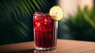 Viral Hibiscus Sweet Lime Blend Is The Ultimate Aesthetic Drink