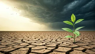Delayed Monsoon Makes Rajasthan Planning Less Casual