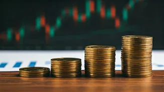 Decoding Investment Choices in the Indian Market