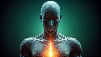 May 2026 Health Outlook: Zodiac Insights for Enhanced Well-being