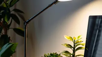 A Smarter Desk Setup Starts With Understanding What Your Body Needs