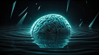 Aman Gupta's Unconventional Wake-Up Routine: Why Your Brain Needs Structure