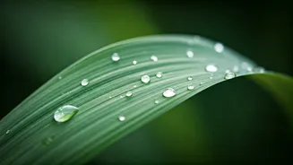 Related Stories banner