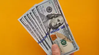 Managing Shared Flat Expenses: Ground Rules For Roommates Using Split Apps