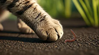 Your Furry Friends: Unsung Heroes in the Spread of Invasive Flatworms