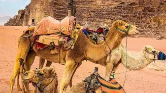 Indian Holidaymakers Can Access Saudi E-Visa Through Integrated Tourism Bookings