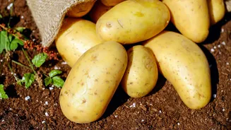 5 genius potato hacks you need to try