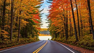 The Northeast Travel Craze Is Growing