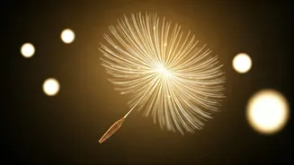 The Lifetime Happiness Secret: Why Helping Others Outshines All Other Joys
