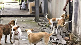 Related Stories banner