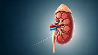 World Kidney Day: Unmasking India's Silent Kidney Disease Epidemic & the Power of Early Checks