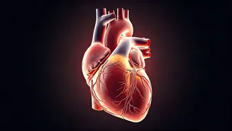 5 Proven Ways to Boost Longevity: A Science-Backed Guide