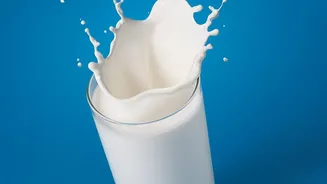 Warming Biscoff Into Milk Helps The Spread Dissolve Smoothly