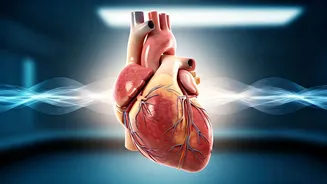 Stair Climbing: Your Body's Recovery Pace Reveals Hidden Heart Health Clues