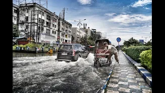 Extreme Weather and Climate Impacts in India Highlighted by NCMRWF