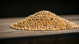 Health Meets Heritage In India’s Millet Moment
