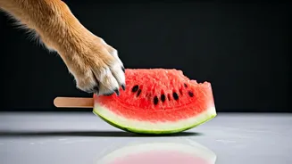 Conscientious Pet Owners Make Frozen Watermelon Pops For Dogs