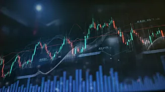 Indian Market Dynamics: FIIs, DIIs, and Market Movements