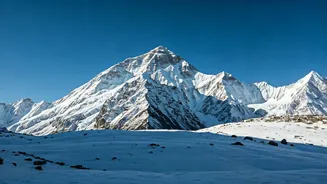 Kashmir Tourism Reborn: Snowfall's Magical Touch