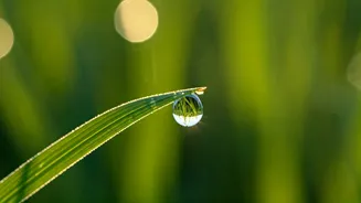 Byron Katie's Wisdom: Embrace Life's Flow and Find Inner Peace