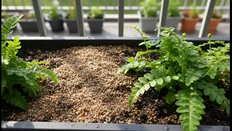 How To Salvage Saturated Balcony Planters By Incorporating Dry Coarse Sand Into Upper Strata